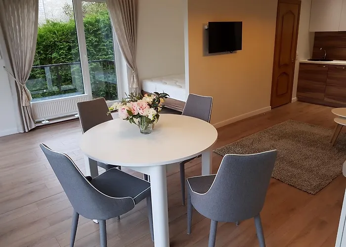 Felix Free Parking Wilno